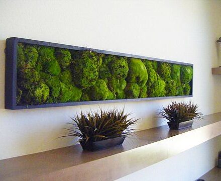 0fd489a8cef01bcb33f4d159b8115543