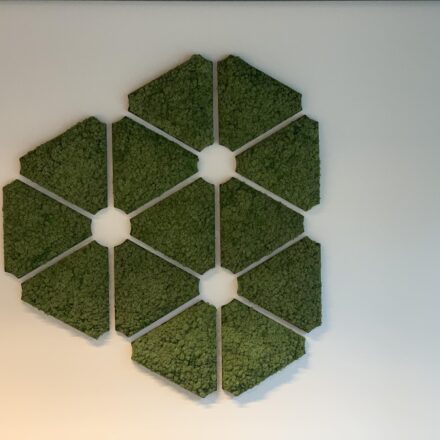 432277337_1156452085514739_2276053736267666842_n