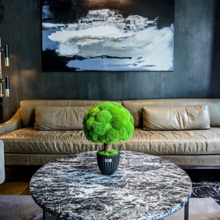 66097088_1458479930960654_5841674444803670016_n