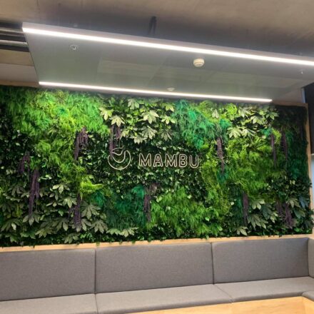 242886812_188259096753672_8066493402250392262_n