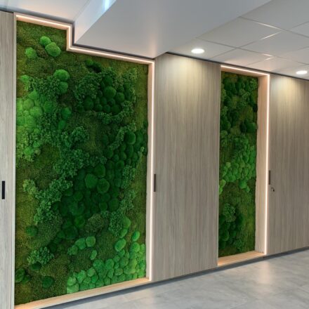 451684235_873274357976511_7571592325531952304_n