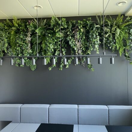 272803581_144271961335149_3066245474874510650_n