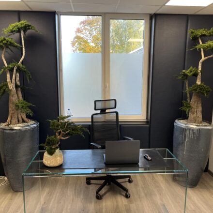 387594604_160032397184659_5333787853665594378_n (1)