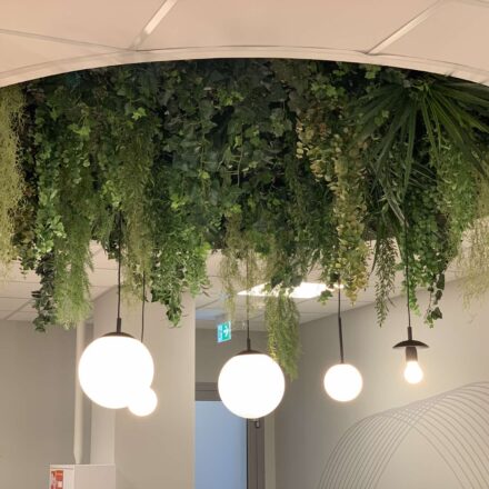 459412590_26928559396788557_716800529730561894_n