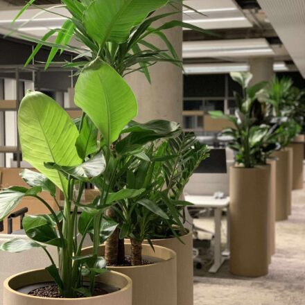 476346667_653253197195462_2531968058818524810_n