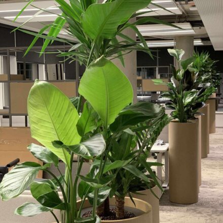 476384730_4183296821994667_7709420345562157413_n