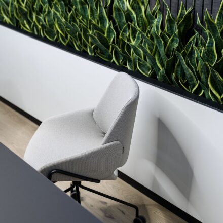 491966697_1238267974967823_3922746955946615365_n