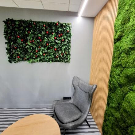 495163831_1183052023833281_426596765793150528_n