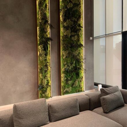 495365851_1179283430876807_6489239346531079476_n