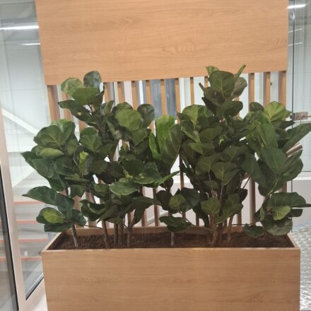 495568208_1183052200499930_8180062083706343877_n