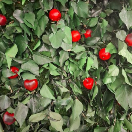 495603795_1183055400499610_1747250926035137151_n