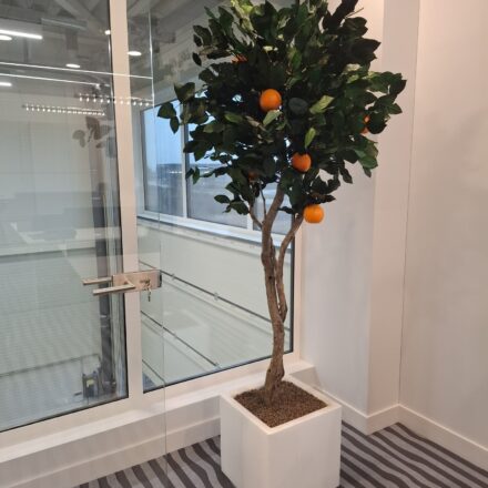 495623207_1183055007166316_8030509991447156989_n