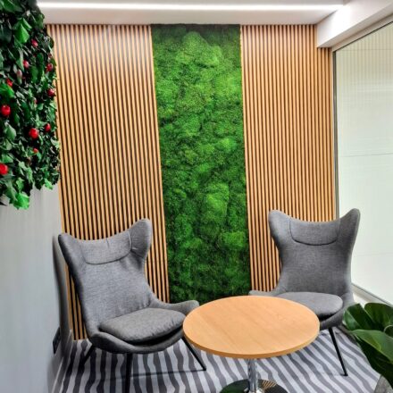 495651021_1183053703833113_7578099899437838668_n