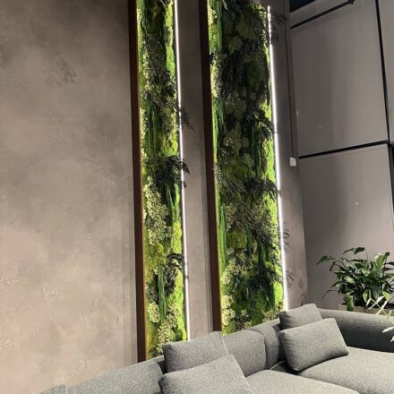 495730838_1179283384210145_8391818711005296796_n