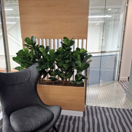 495912416_1183055413832942_2072996869675233778_n