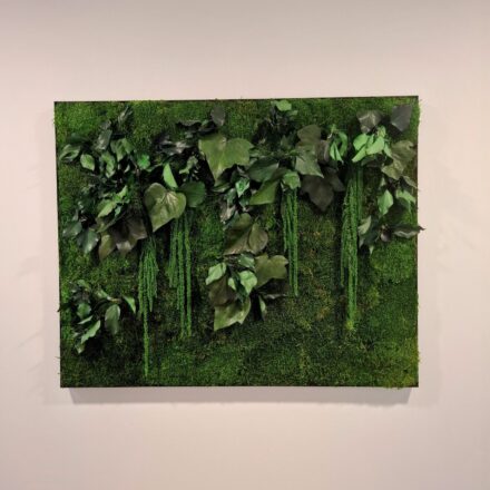 496255474_1183052713833212_5683172035149771304_n