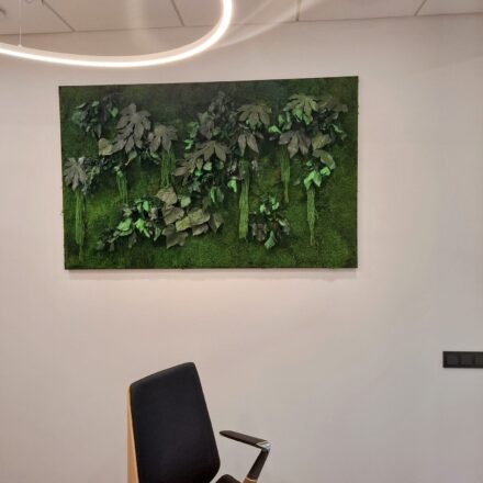 496304201_1183055193832964_401416422771437322_n