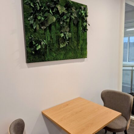 496832911_1183052257166591_470488145684404067_n