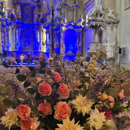 7402298c-6c0c-4bb8-9765-2e5ee3fbb82a