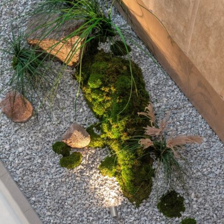 500203238_1281758113952970_8649233877964759641_n