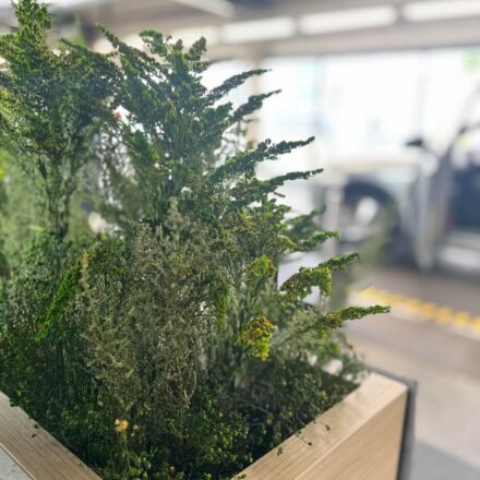 504518227_18137102866416264_3316437022838395469_n