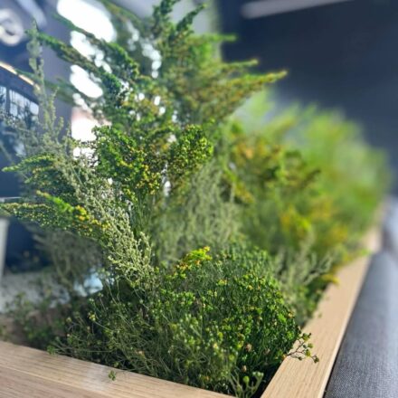 504822022_18137102875416264_4075498561290756892_n