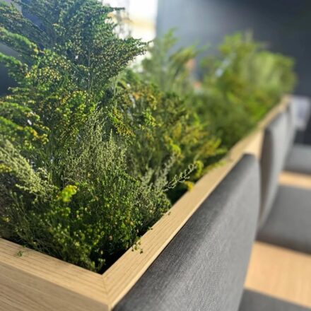 510912990_18137102893416264_5721712298249886594_n