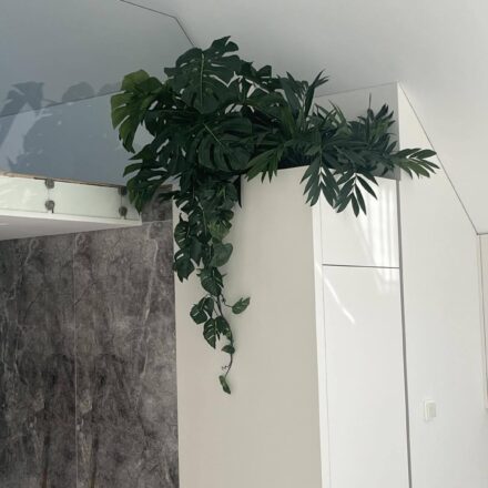 516668234_1232050845600065_6675206281611254132_n