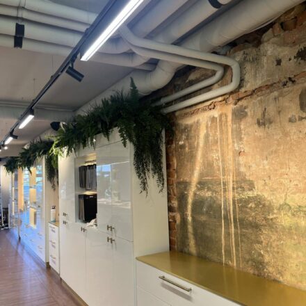 516765794_1232050632266753_149747908785181140_n