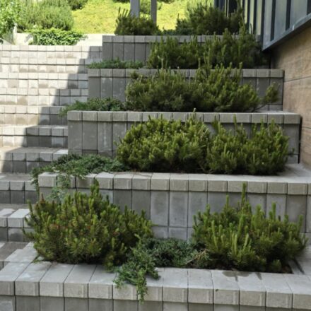 8a5c9c1f-0b86-4965-a637-7273536e697e