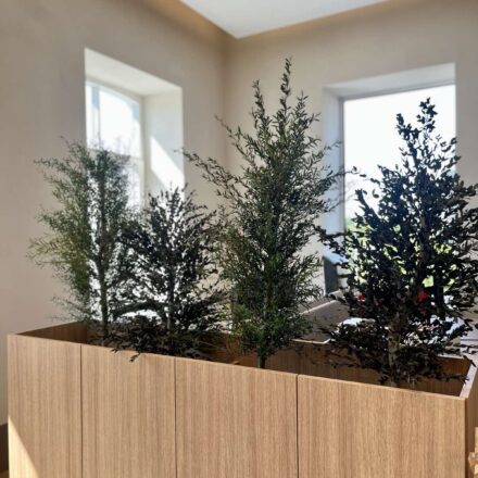 IMG-058615aa61dd0750e604aaeb6d61a4dc-V