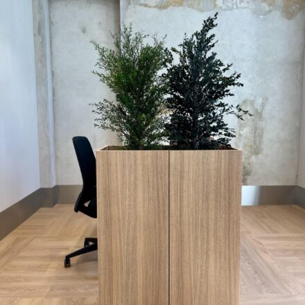 IMG-3829575d7f29aa1ed61bd44f350aa9a9-V