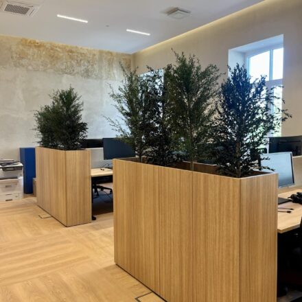 IMG-3b43c5f3d9f9f2a8376aabb8d0abfa24-V