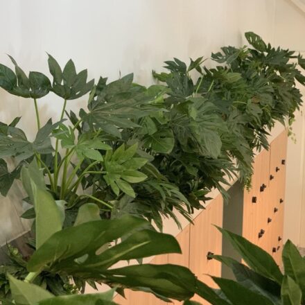 IMG-67845dc089ba6a73c89e1dfa6e2b621f-V