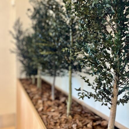 IMG-73824a2132d7d905a45d342964aa7403-V