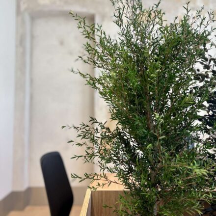 IMG-7585335efa3f0108324380662222924a-V