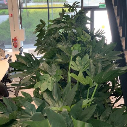 IMG-831c34e2d1944cd679be808b664aed1a-V