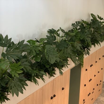 IMG-942629bc2b29866007de5e896f9753e5-V