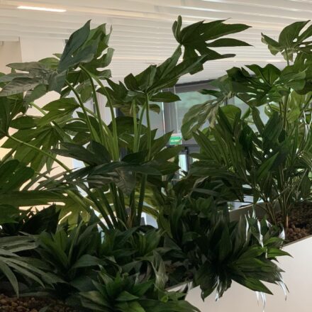 IMG-a51668121f0399dc983fc4c8e3821048-V