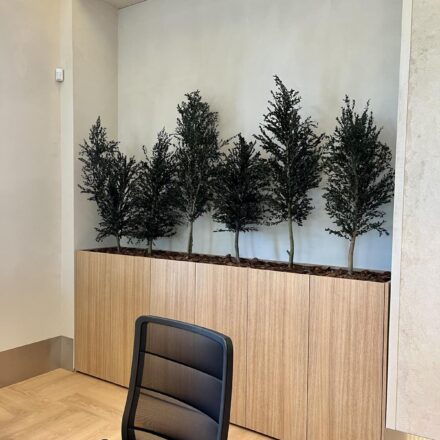 IMG-b2e760b2ccc0ec4f5eca4b81c51f7b00-V