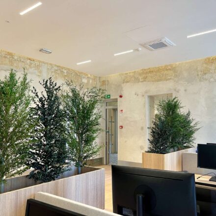 IMG-bc1266c36956f9694b8d28e13f87453a-V