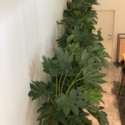 IMG-c295d574d9583ef5bbaefa5b88328dba-V