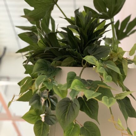 IMG-cb5b5ae13399ea2927301e7f935173ec-V