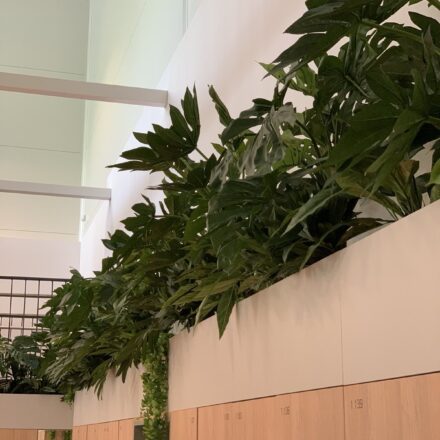 IMG-ccfdb41f0f833e2c8403ebca18d123b2-V