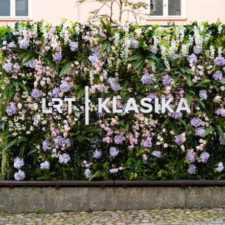 Kristupo Festivalis foto sienelė - Foto Modestas Endriuška (10)