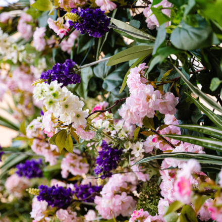 Kristupo Festivalis foto sienelė - Foto Modestas Endriuška (13)