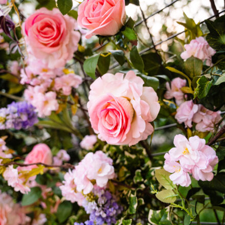 Kristupo Festivalis foto sienelė - Foto Modestas Endriuška (7)