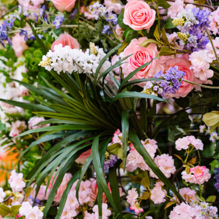 Kristupo Festivalis foto sienelė - Foto Modestas Endriuška (8)