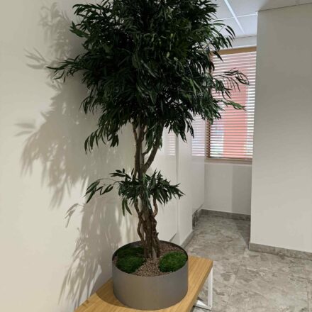 16f9108a-89c5-49ff-9caf-80e98ff09298