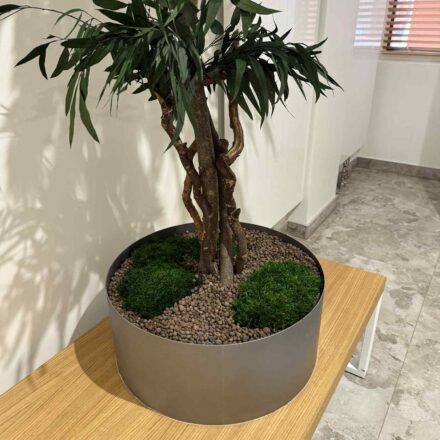 7a83711e-7810-41c0-aaab-e63348c5a827